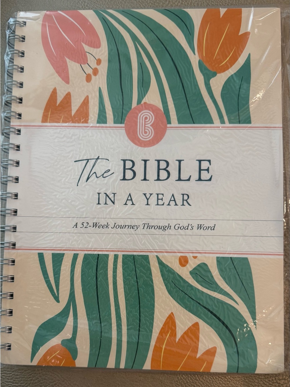 The Bible in a Year Spiral Journal - Cream & Mint